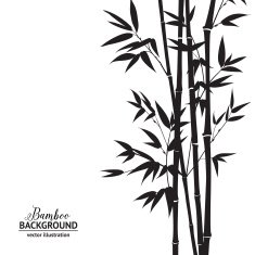 Bamboo bush N2