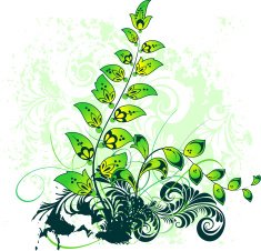 Plant N23