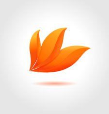 Orange flower Business abstract symbol