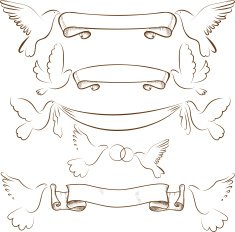 Wedding dove N2