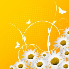 Flower background N181