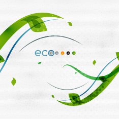 Green eco nature minimal floral concept N4