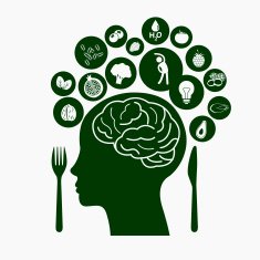 Vector Illustrator symbolizes of Foods for Healthy Brain
