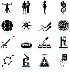 human pregnancy fertility and cloning black & white icon set