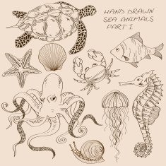 Set of isolated sea animals N3