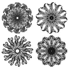 Baroque pattern02 N2