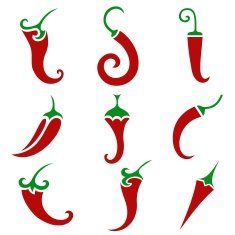 Hot chili pepper vector isolated N3