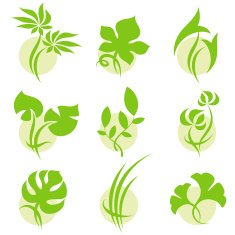 Tropical leaves Elements for design