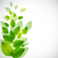 Abstract nature background with leaves Vector illustration