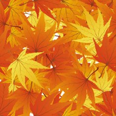 Seamless Maple Leaves N3