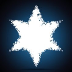 Christmas Star N17