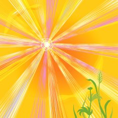 Hot sun of summer