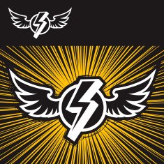 Shining Wings