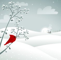 Red Cardinal winter scene