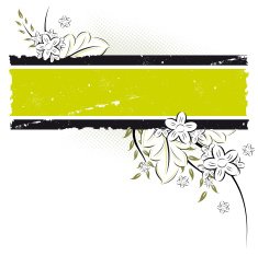 Vector grunge floral background N30