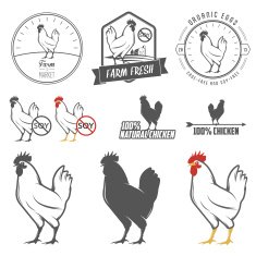 Set of chicken meat packaging labels design