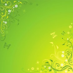 Sunny floral background with butterflies