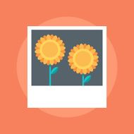 Photo flat style colorful vector icon N2