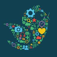 Social Media Bird