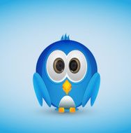 Blue cute bird