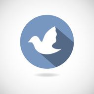 Social media icon N17