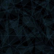 Seamless Interconnecting Network Background