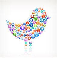 Bird on Social Networking &amp; Internet Color Buttons