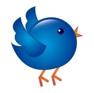 Blue Bird N33