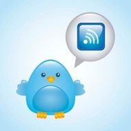 Blue Bird N45