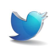 3d Bird Vector Icon