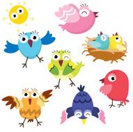 Birds N123