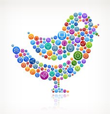Bird with Social Networking & Internet Color Buttons