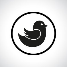 Flying bird N7