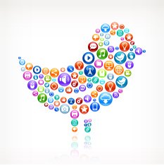 Bird on Social Networking & Internet Color Buttons