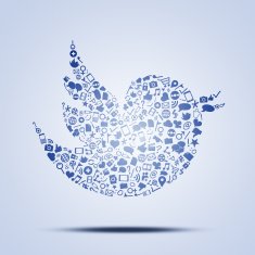 Icons arranged in the shape of bird N2