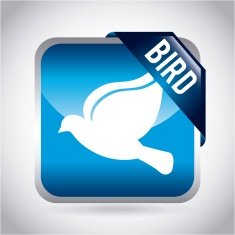 Bird Design N29