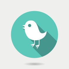 Trendy round bird icon