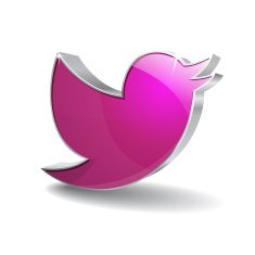 3d Bird Vector Icon N2