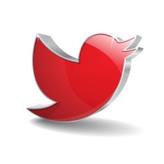 3d Bird Vector Icon N4