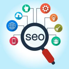 SEO infogrpahic N2