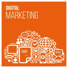 Digital Marketing Vector with icons N2