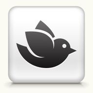 Square Button with Bird