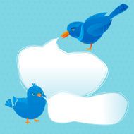 Bluebirds Talking