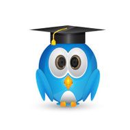 Blue bird with graduation cap