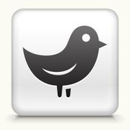 A white square button with a black bird