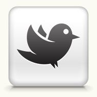 Square Button with Bird N2