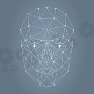 Face network illustration