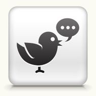 Square Button with Social Bird N2