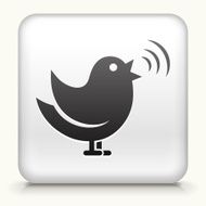 Square Button with Chat Bird