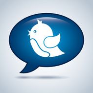blue bird design N2